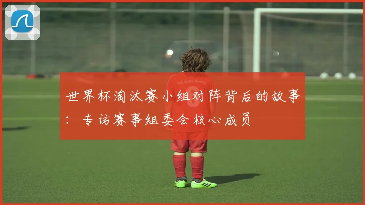 世界杯淘汰赛小组对阵背后的故事:专访赛事组委会核心成员