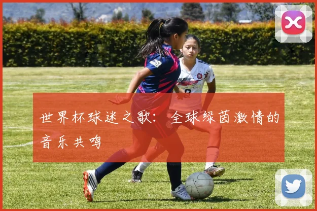 世界杯球迷之歌:全球绿茵激情的音乐共鸣