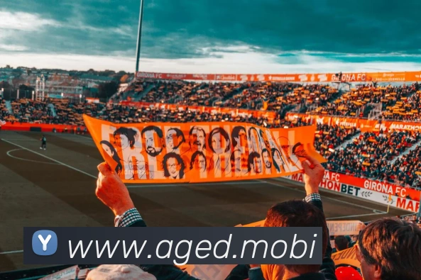 开云在线官网登录入口品牌故事