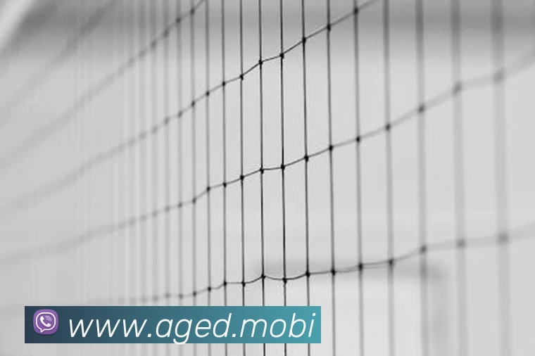 开云在线官网登录入口服务体系